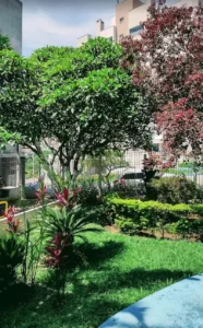 galeria-pousada-raio-de-sol-35